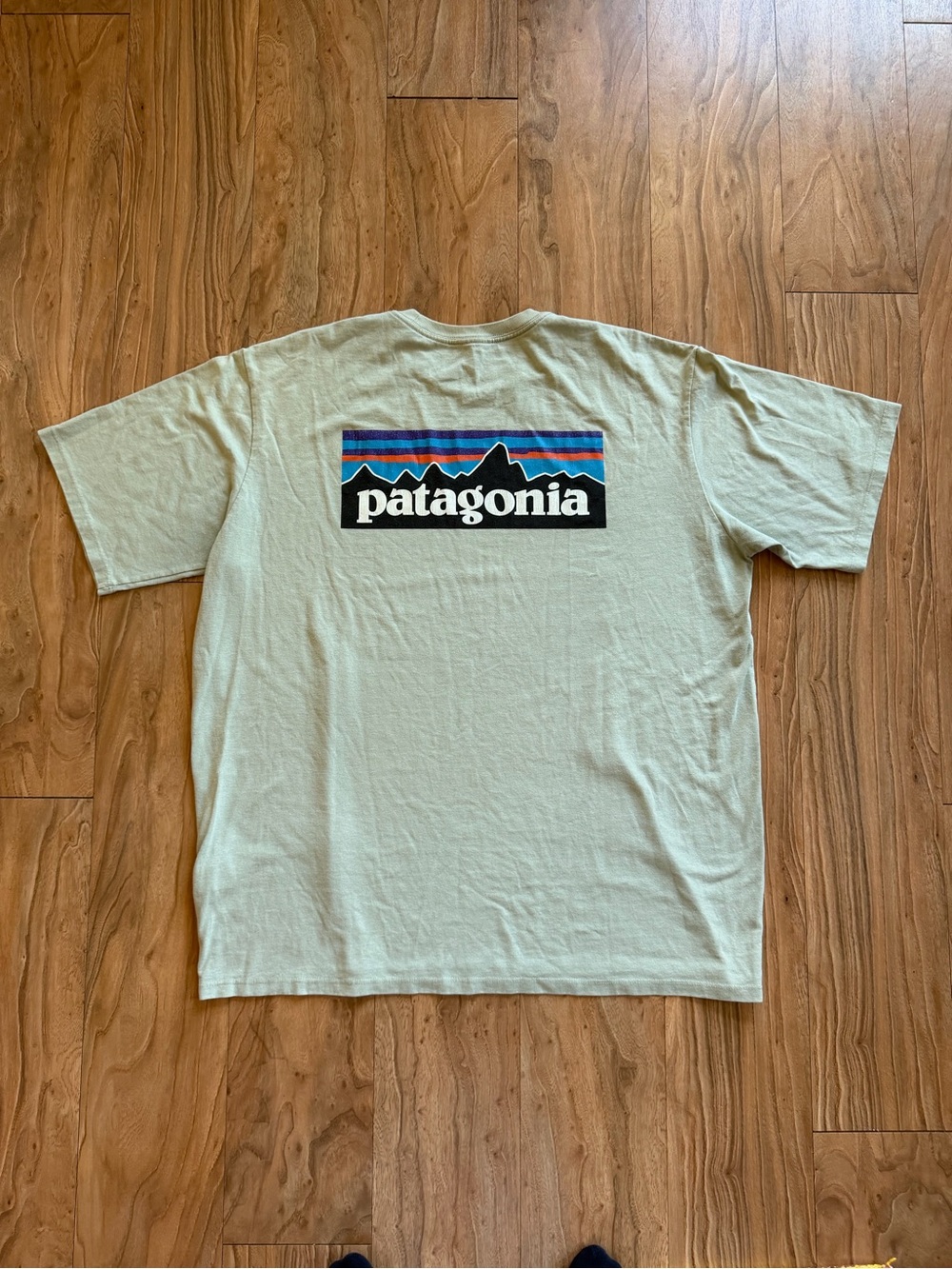 Patagonia P-6 Label light green t-shirt
